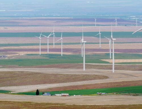 Oregon environmental group leads lawsuit to reverse IRS wind, solar rules