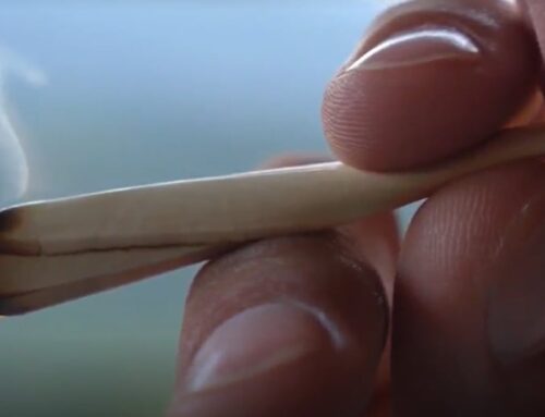 8 cannabis packages removed from safety bulletin warning