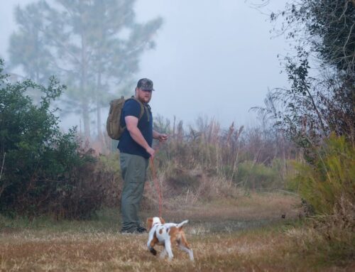 Here’s how much conservation land Tampa Bay counties bought this year