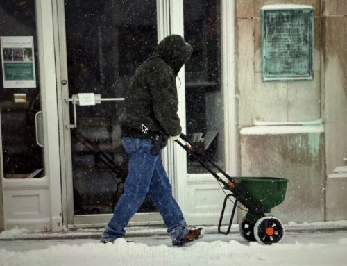 Deicing with salt — winter necessity, environmental risk: Around The Town