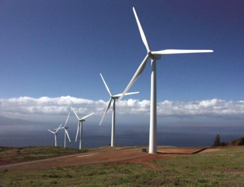 State Land Board approves final EIS for Kaheawa Wind 1 continued use for 20 years