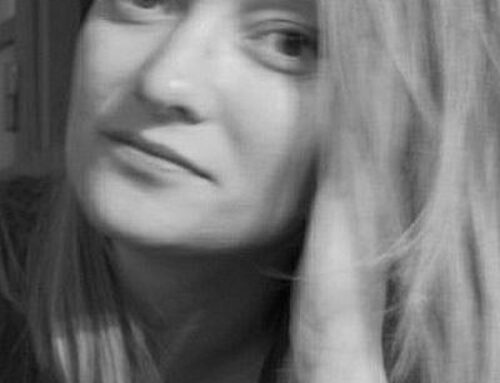 The Blogs: Peace hospital could open up world of environment collaborations