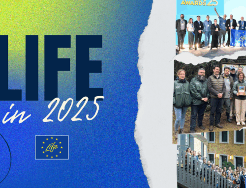 LIFE in 2025: a year of climate, environment and clean energy action