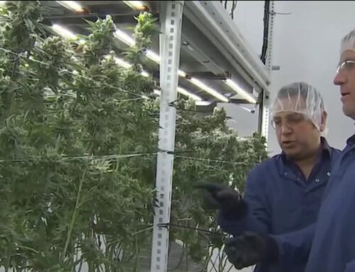 Lawmakers look at bringing recreational cannabis shops to Virginia