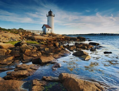 Highlights of Environment Massachusetts’ work in 2025