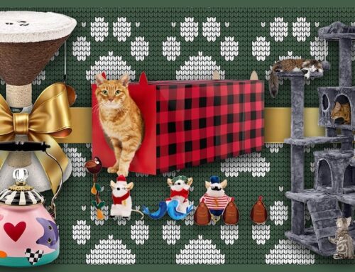 Cat gifts for your favorite felines and the people who love them: Shop treats, toys, scrat