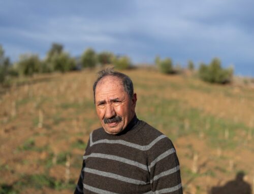 Morocco aims to boost legal cannabis farming and tap a global boom