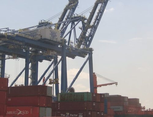 ‘Potential for irrevocable damage’: Wilmington Harbor 403 expansion project raises environ