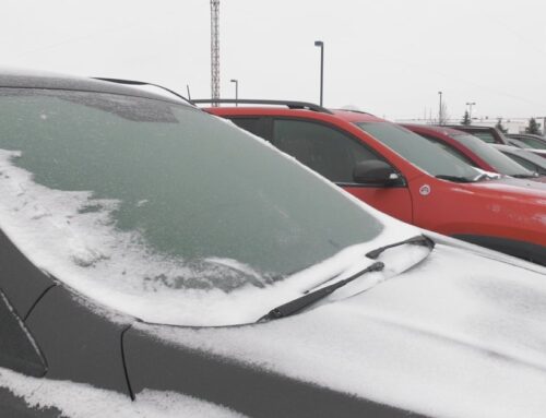 Non-essential travel should be avoided as freezing rain rolls in Sunday, Environment Canad
