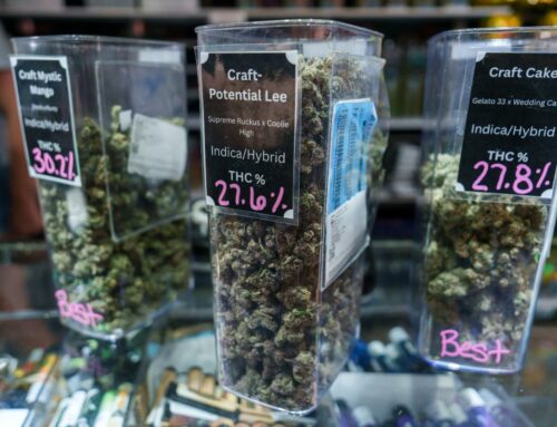 1 in 6 Michigan moms use weed during pregnancy, study finds