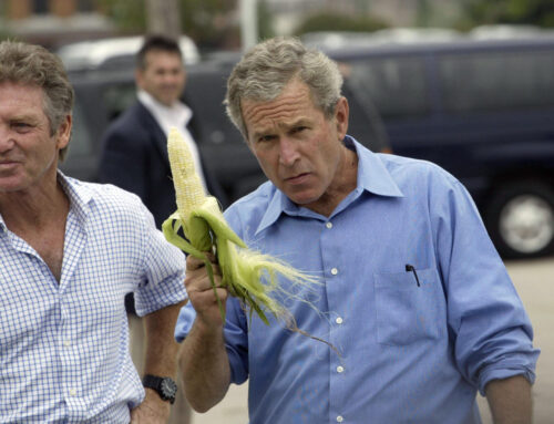 Corn’s clean-energy promise is clashing with its climate footprint