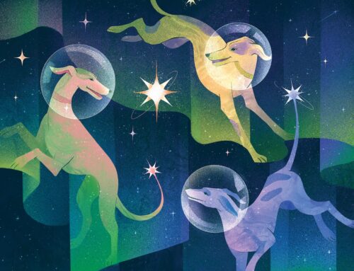 Business Brief: The best and worst of investing in 2025