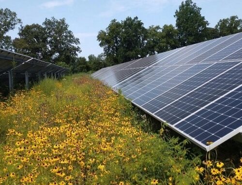 Solar farms OK’d for two closed landfills along city’s eastern border
