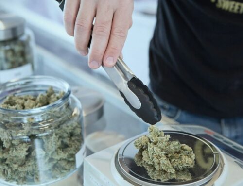 Cannabis bill negotiating panel in place for new year