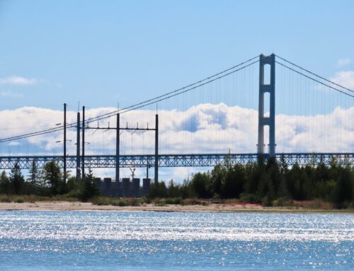 U.P. utility’s plan to add steep renewable energy surcharges to power bills rejected