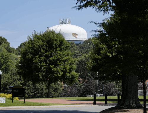 Environment section recap