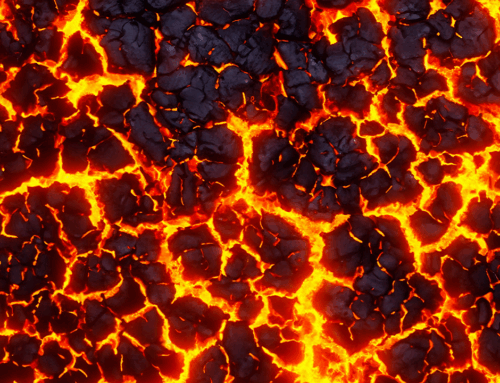 How Does Life Take Hold in Barren Environments?