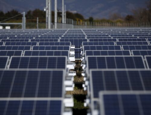Japan to tighten regulations on mega-solar projects to protect nature, landscape
