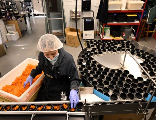 What will Trump’s marijuana adjustment mean for Colorado’s cannabis industry? (Opinion)