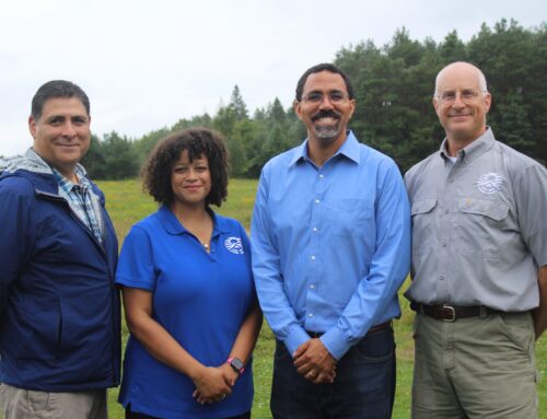 Pathways to a conservation future