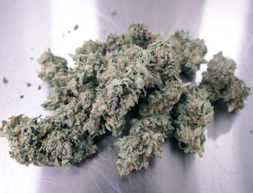 Trump aims to reform federal cannabis law