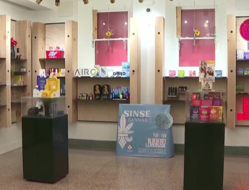 ‘The biggest thing that’s happened’: Local cannabis industry says declassification of pot