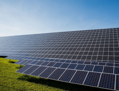 Africa Will Be Next Center for Solar Demand, Say Industry Leaders