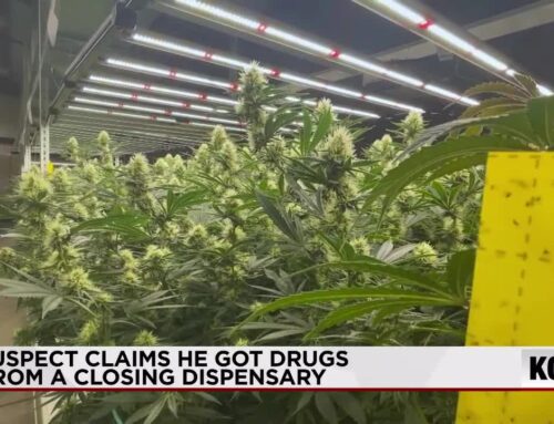 What happens to leftover cannabis when a dispensary shuts down in Albuquerque?