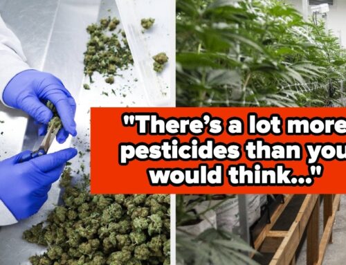 19 Brutally Honest Confessions From People Who Work In The Cannabis Industry That Will Cha