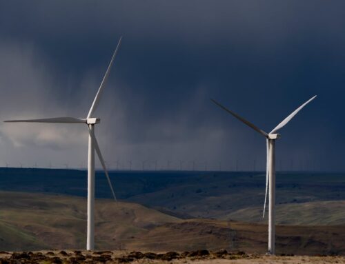 Federal judge throws out Trump order blocking development of wind energy