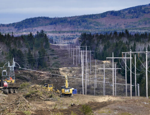 Environmental groups challenge CMP power line conservation plan