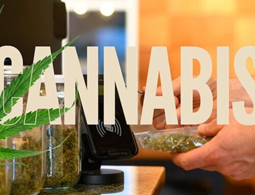 Council likely to consider expanding retail cannabis registrations in …