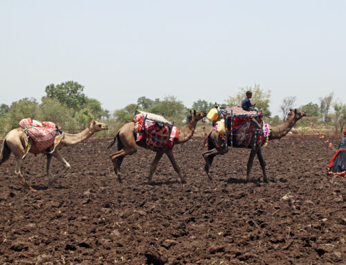 Three filmmakers and their urgent stories about the environment and health