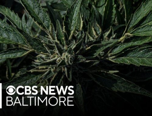 Some Maryland firefighters want statewide off-duty, medical cannabis use