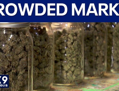 1,100 MN cannabis businesses have received preliminary approval | FOX 9 Minneapolis-St. Pa