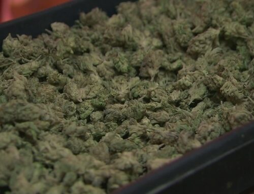 What does the rescheduling of cannabis mean?