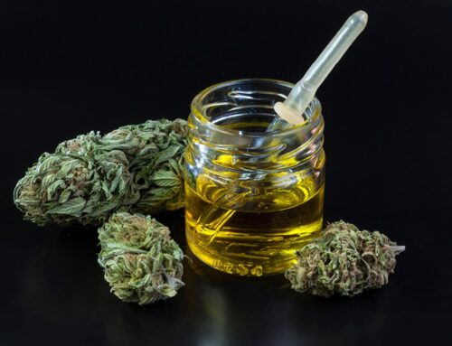 Cannabis Is a Budding Strategy Against Ovarian Cancer