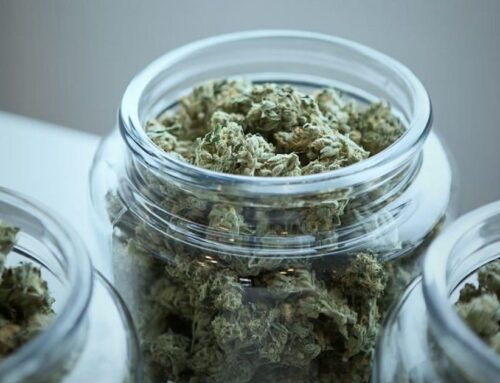 New Jersey Medical Cannabis Program: State Of Play