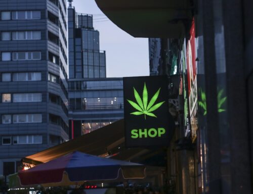 Study of cannabis retailers finds mixed advice on safety in pregnancy