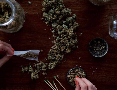 A new proposal for a retail cannabis market in Virginia aims to prioritize small businesse