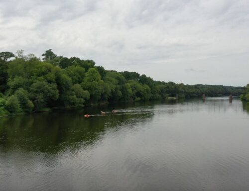 Company pleads guilty to polluting Cape Fear River