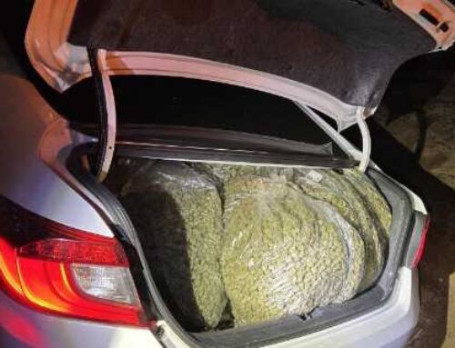 CHP cruiser rammed in Monterey County cannabis grow-house burglary; 9 arrested