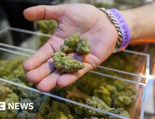 Trump expected to expand access to marijuana in a major shift in drug policy