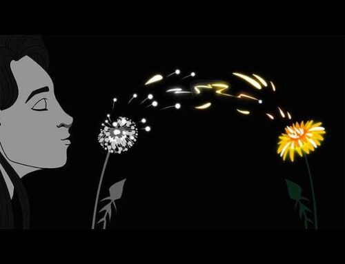 Evolution study finds history and environment shifts can steer species in very different d