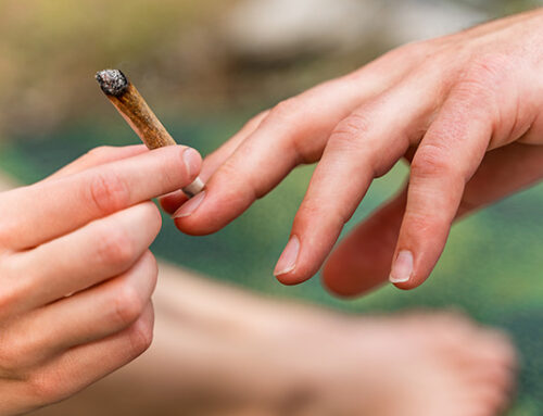 Everyone Deserves the Gift of Cannabis Freedom