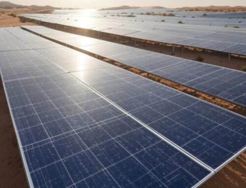 China’s desert solar farms are reshaping entire ecosystems