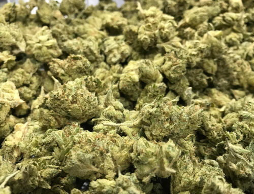 San Diego’s 10% cannabis business tax comes up short