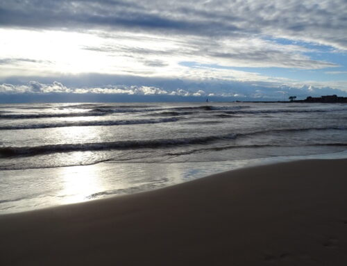 Some of the Wisconsinites working for environmental change in 2025 and beyond