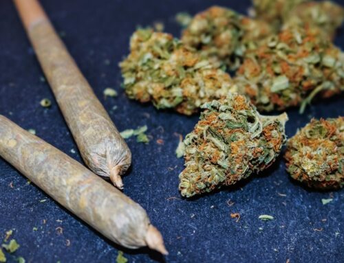 Michigan cannabis group makes last-minute appeal to stop 24% marijuana wholesale tax from