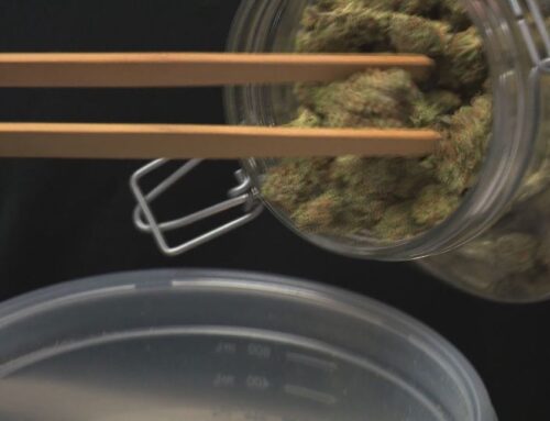 Michigan cannabis company shuts down production plant due to market conditions, looming wh